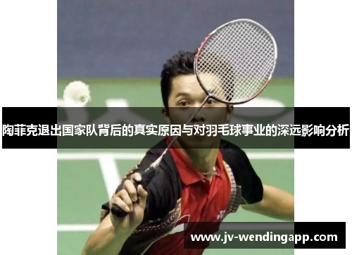 陶菲克退出国家队背后的真实原因与对羽毛球事业的深远影响分析