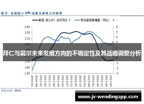 拜仁与戴尔未来发展方向的不确定性及其战略调整分析