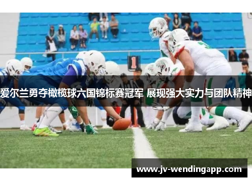 爱尔兰勇夺橄榄球六国锦标赛冠军 展现强大实力与团队精神