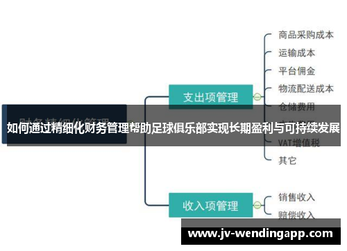 如何通过精细化财务管理帮助足球俱乐部实现长期盈利与可持续发展 如何通过精细化财务管理帮助足球俱乐部实现长期盈利与可持续发展