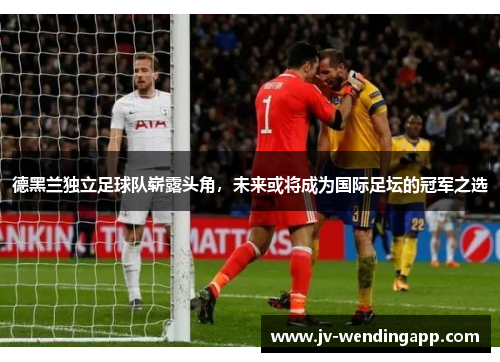 德黑兰独立足球队崭露头角,未来或将成为国际足坛的冠军之选 德黑兰独立足球队崭露头角,未来或将成为国际足坛的冠军之选