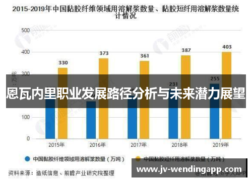 恩瓦内里职业发展路径分析与未来潜力展望 恩瓦内里职业发展路径分析与未来潜力展望