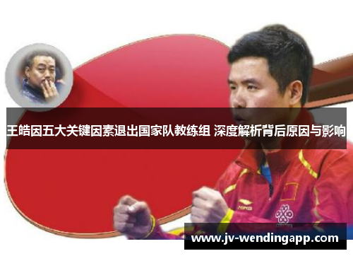 王皓因五大关键因素退出国家队教练组 深度解析背后原因与影响