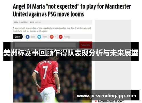 美洲杯赛事回顾乍得队表现分析与未来展望