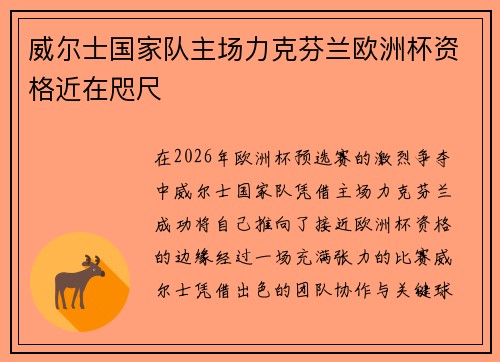 威尔士国家队主场力克芬兰欧洲杯资格近在咫尺 威尔士国家队主场力克芬兰欧洲杯资格近在咫尺